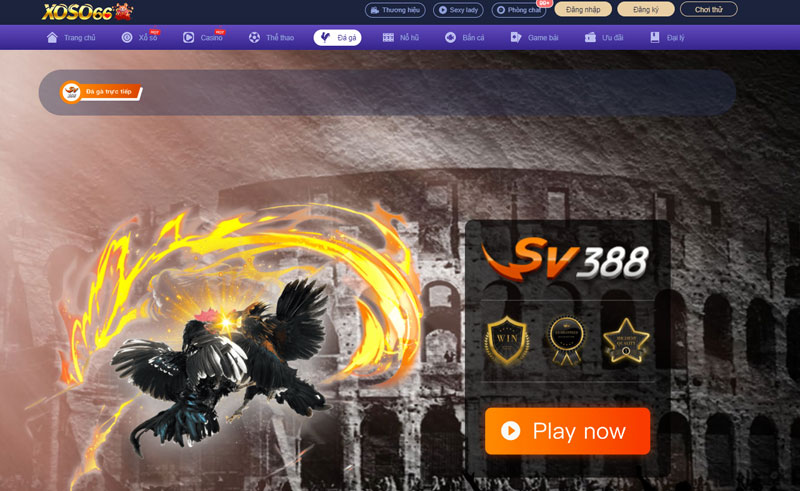Đấu trường giải trí đá gà Xoso66 online nảy lửa